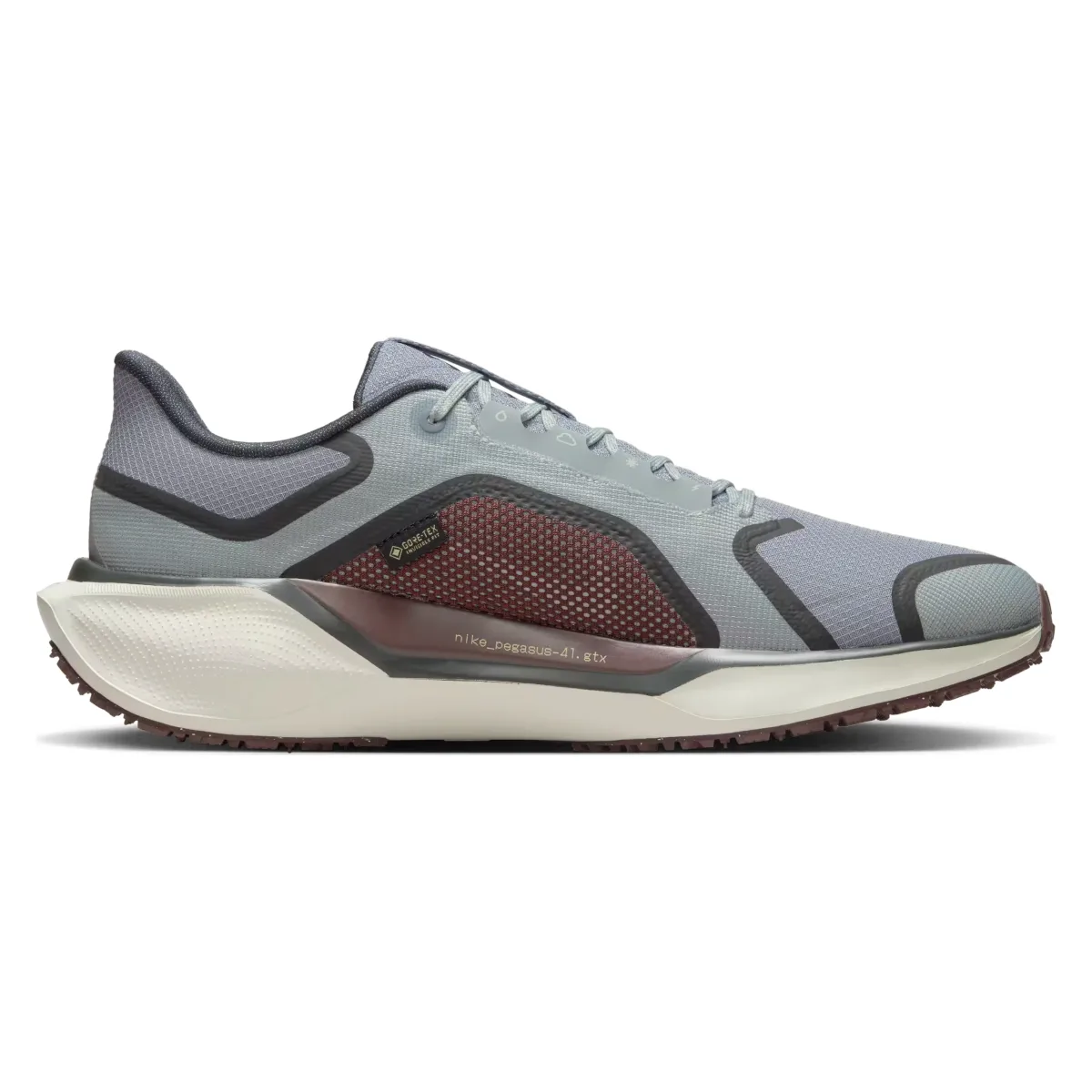 Nike Pegasus 41 GORE-TEX "Light Pumice"