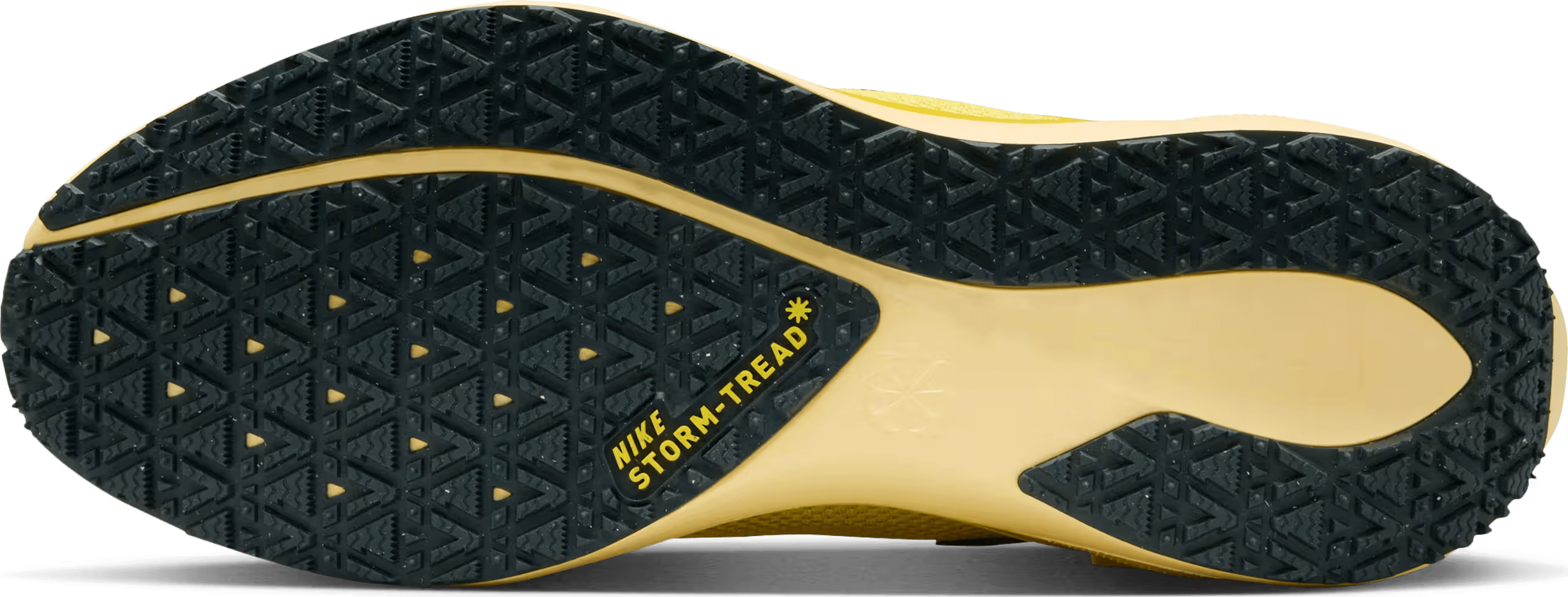 Nike Pegasus 41 GORE-TEX "Light Zitron"