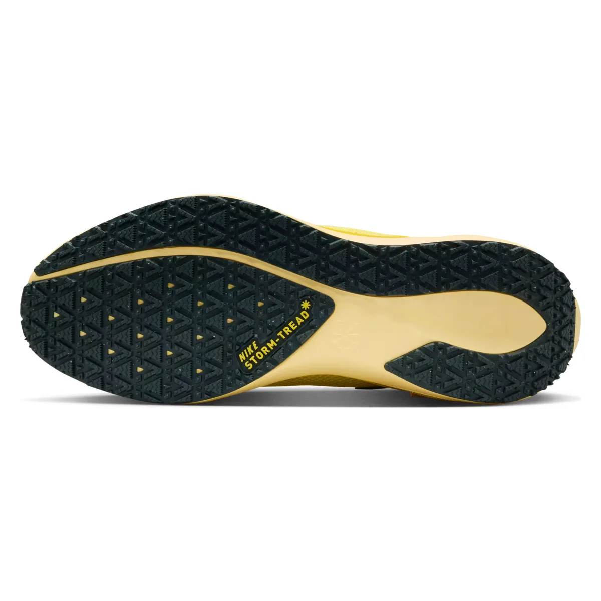 Nike Pegasus 41 GORE-TEX "Light Zitron"