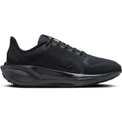 Nike Pegasus 41 GORE-TEX Wmns "Black"