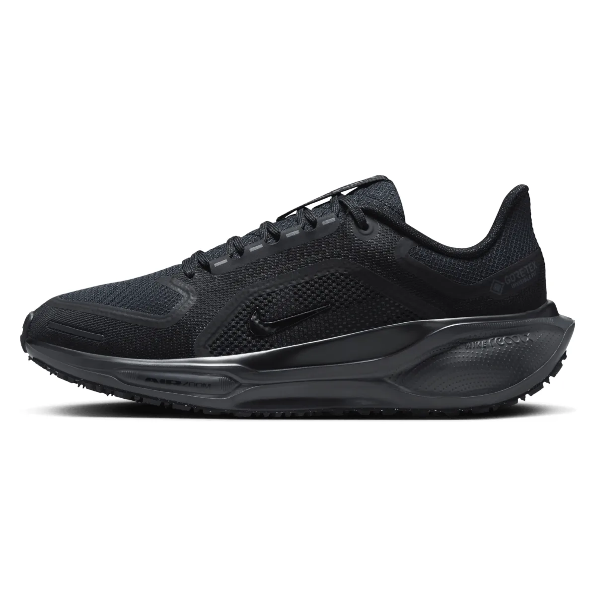 Nike Pegasus 41 GORE-TEX Wmns "Black"