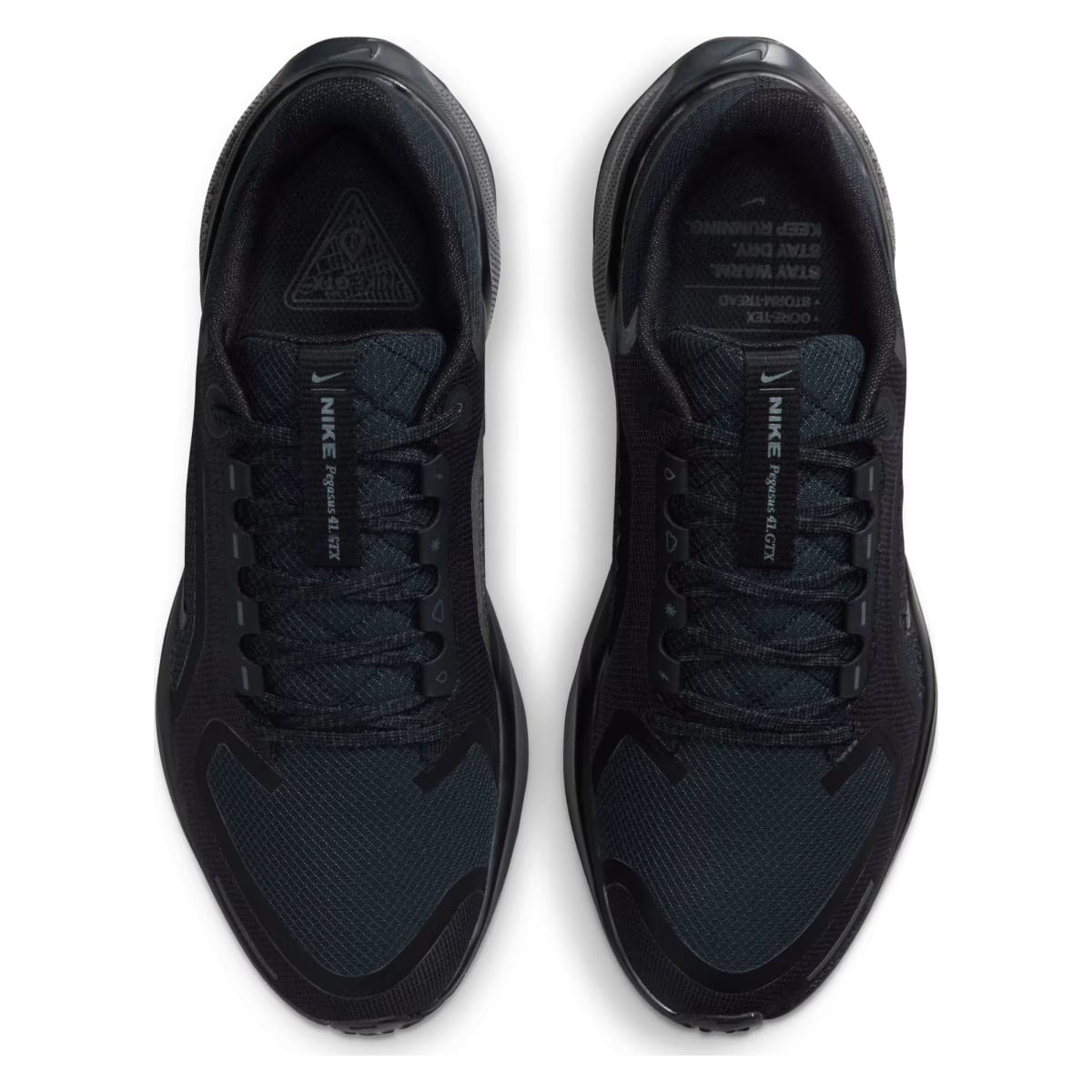 Nike Pegasus 41 GORE-TEX Wmns "Black"