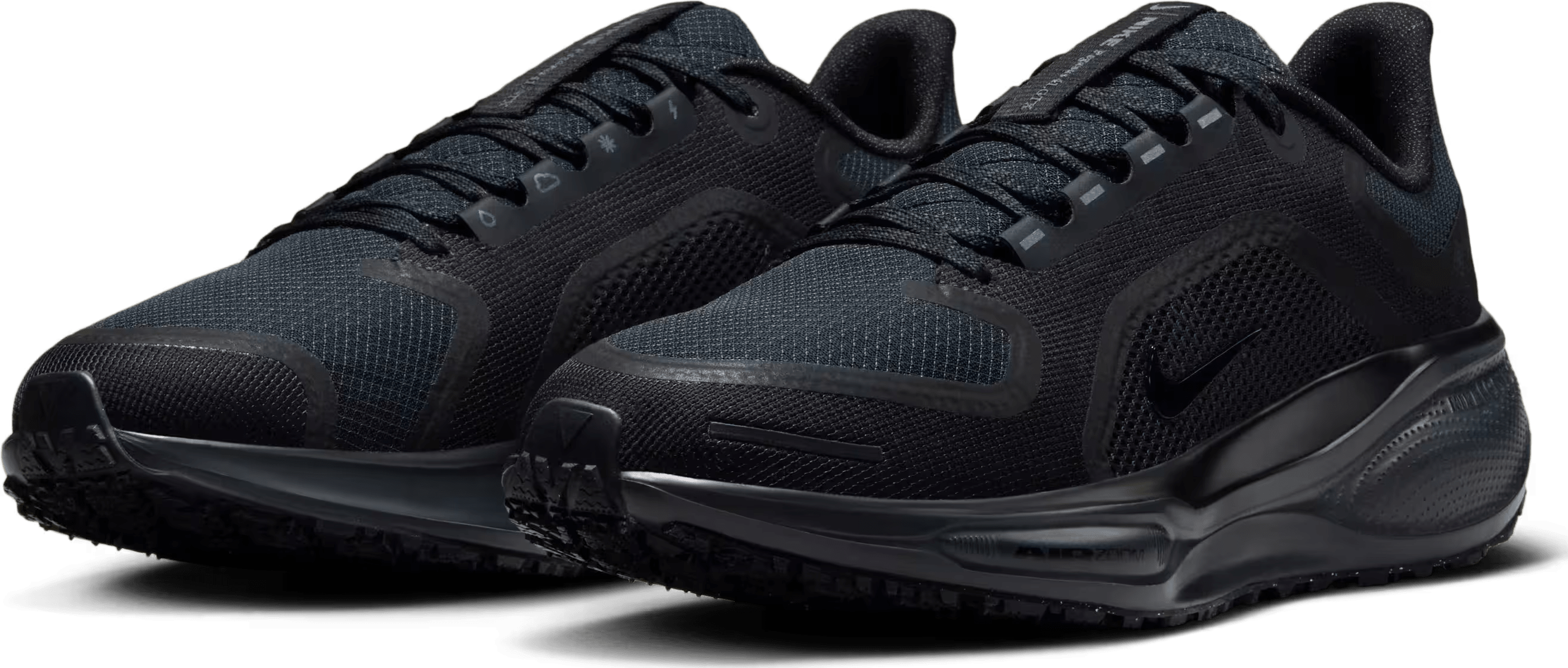 Nike Pegasus 41 GORE-TEX Wmns "Black"