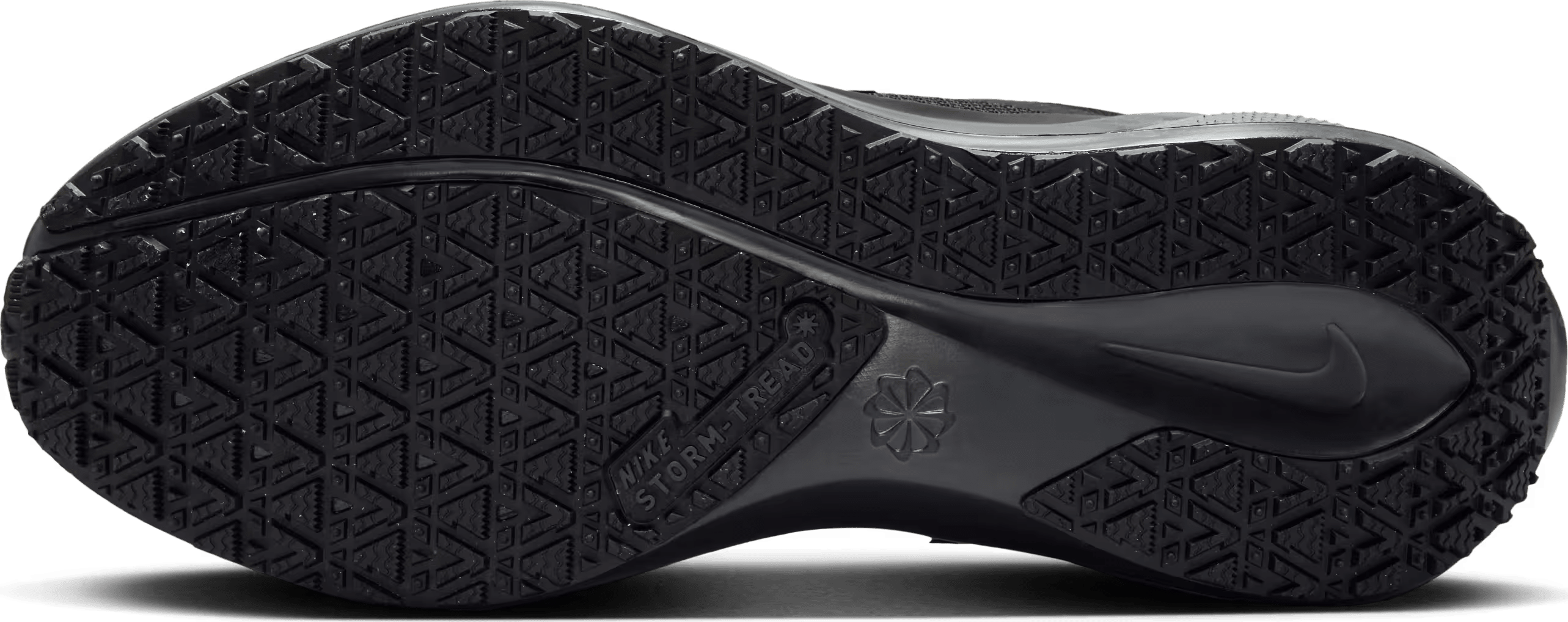 Nike Pegasus 41 GORE-TEX Wmns "Black"