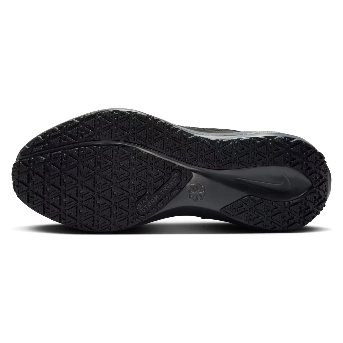 Nike Pegasus 41 GORE-TEX Wmns "Black"