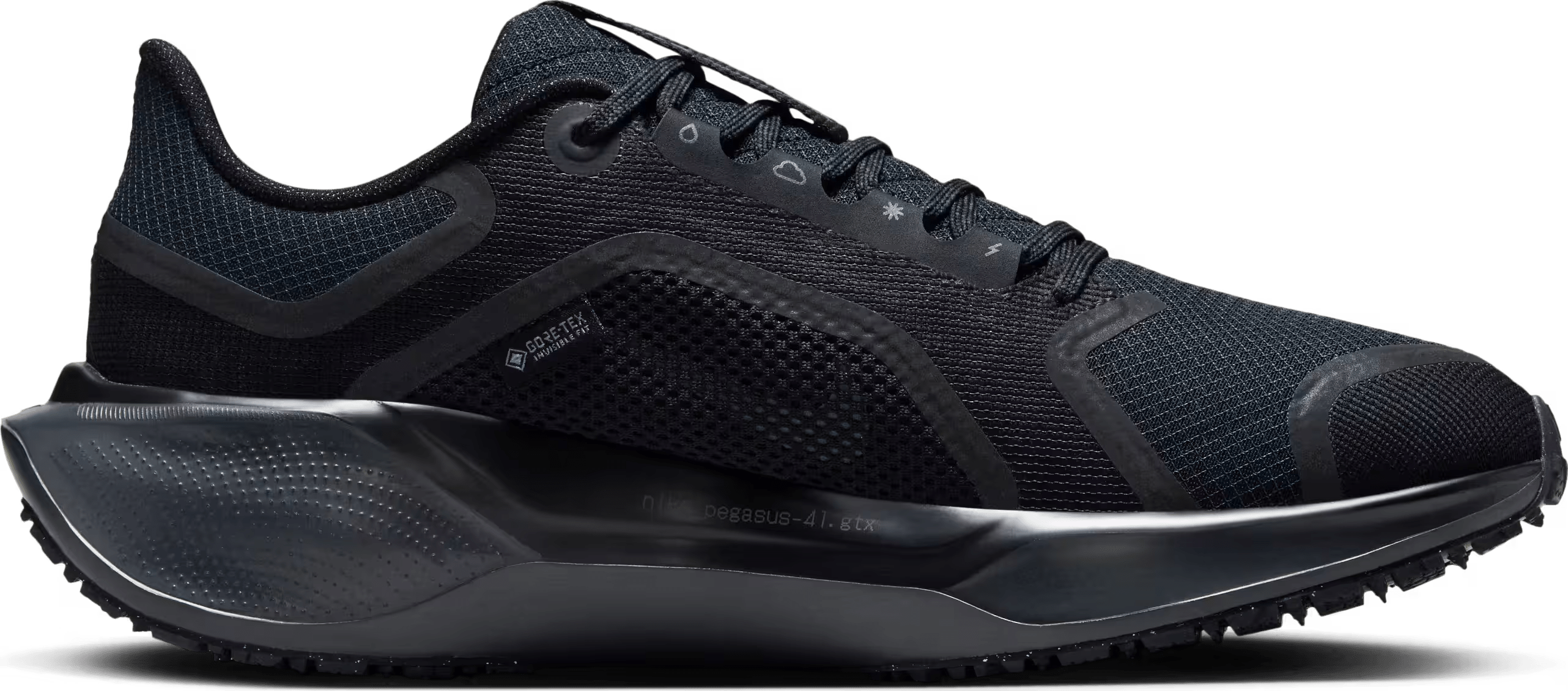 Nike Pegasus 41 GORE-TEX Wmns "Black"
