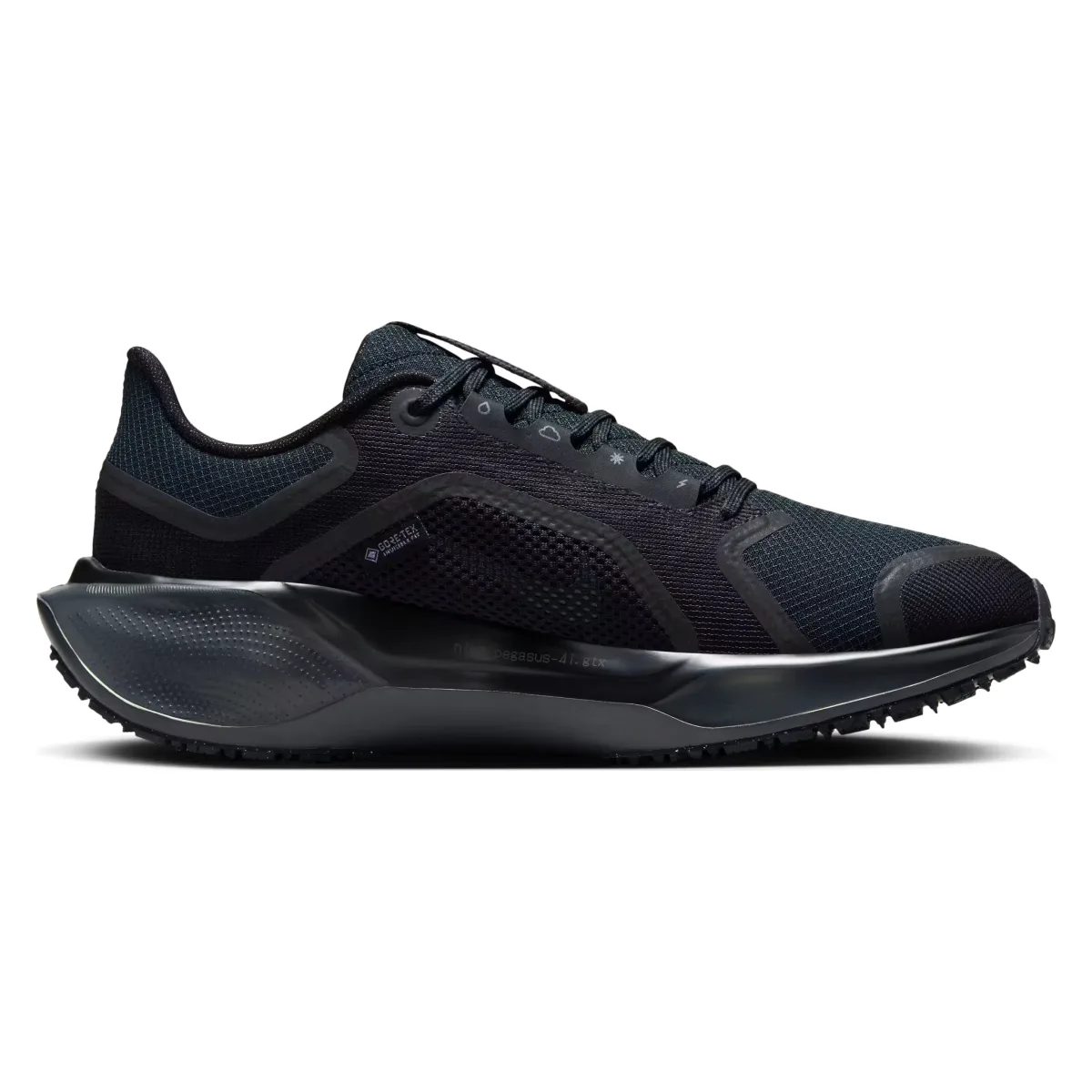 Nike Pegasus 41 GORE-TEX Wmns "Black"