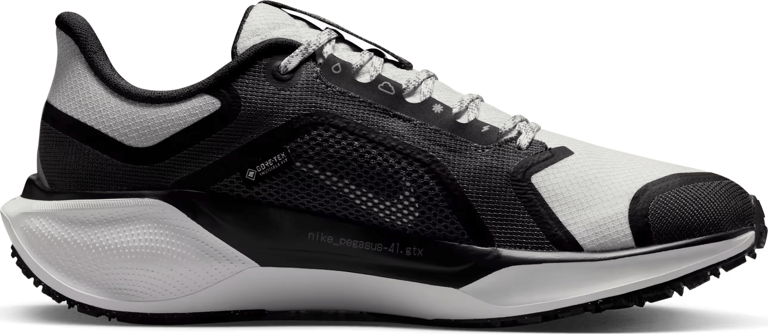 Nike Air Zoom Pegasus 41 Gore-Tex Black Iron Grey (Women's)