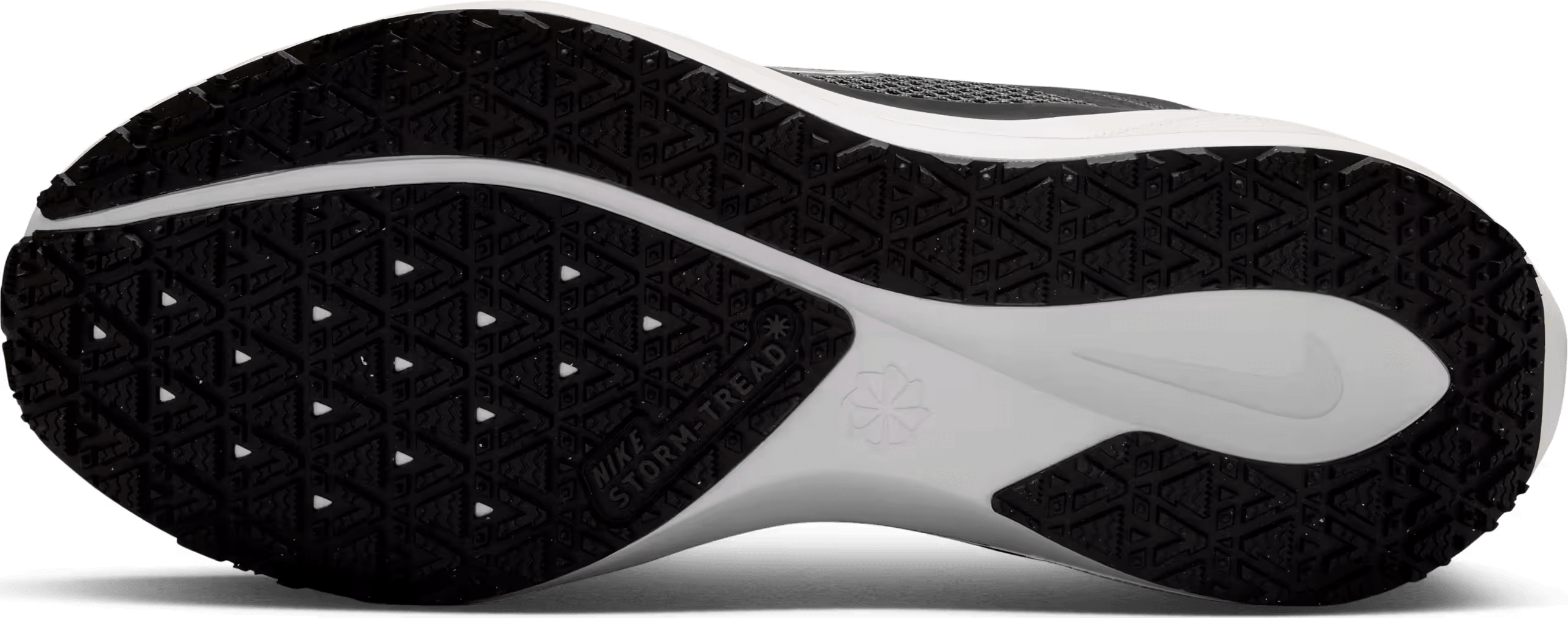 Nike Air Zoom Pegasus 41 Gore-Tex Black Iron Grey (Women's)