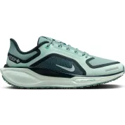 Nike Pegasus 41 GORE-TEX Wmns "Bleached Turquoise"