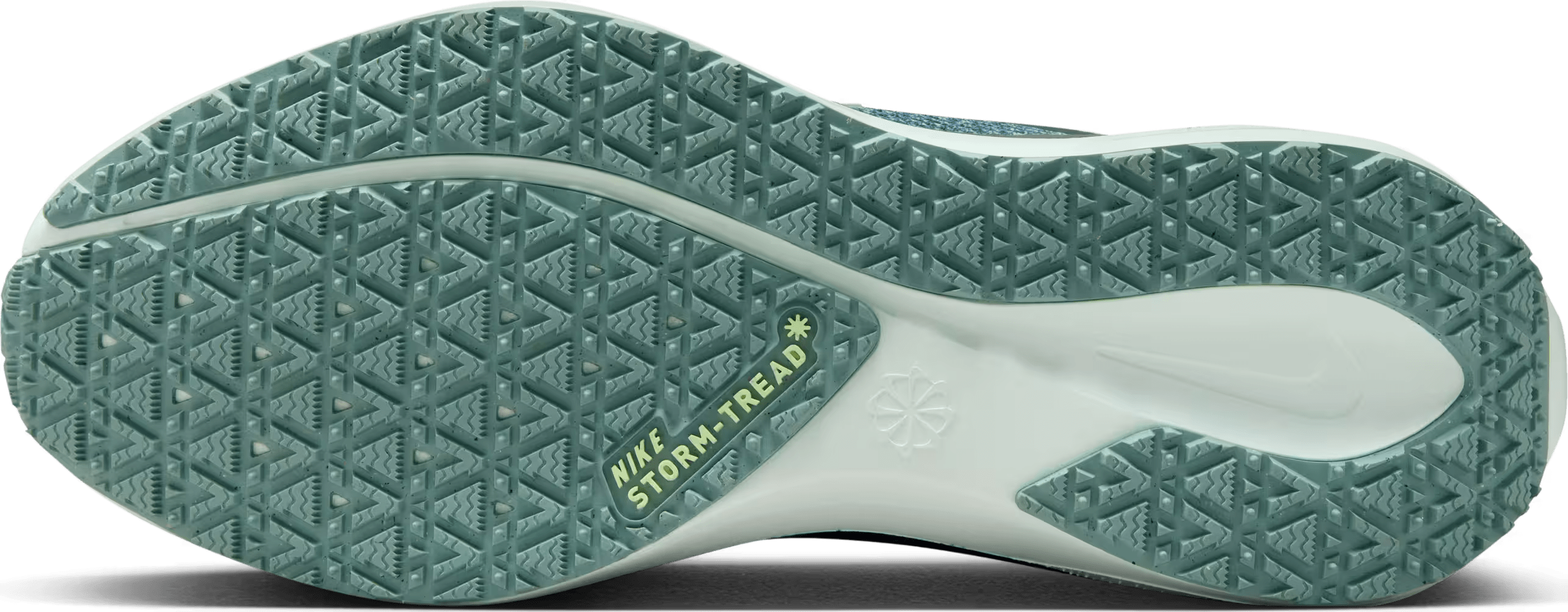 Nike Pegasus 41 GORE-TEX Wmns "Bleached Turquoise"