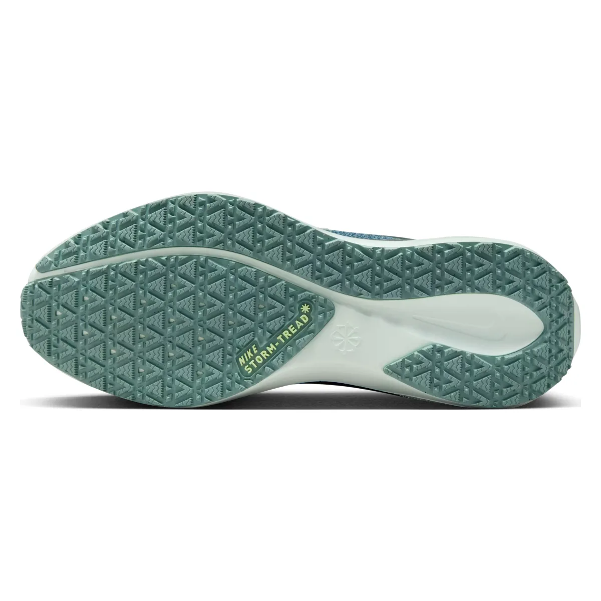 Nike Pegasus 41 GORE-TEX Wmns "Bleached Turquoise"
