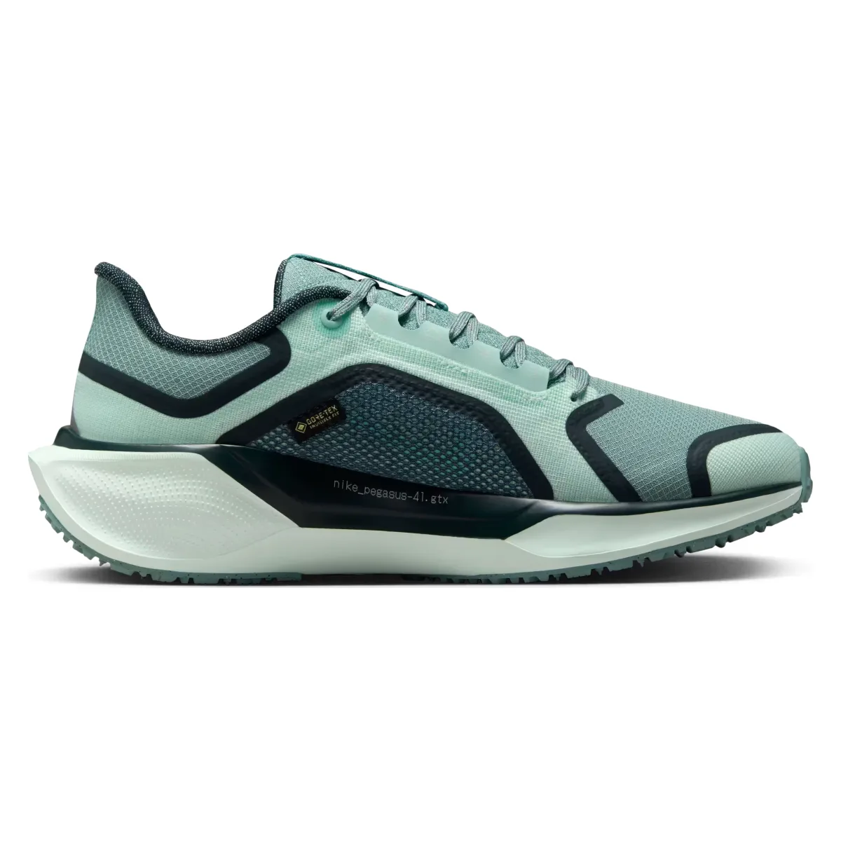 Nike Pegasus 41 GORE-TEX Wmns "Bleached Turquoise"