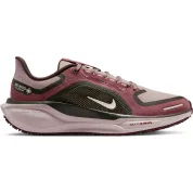 Nike Pegasus 41 GORE-TEX Wmns "Red Sepia"
