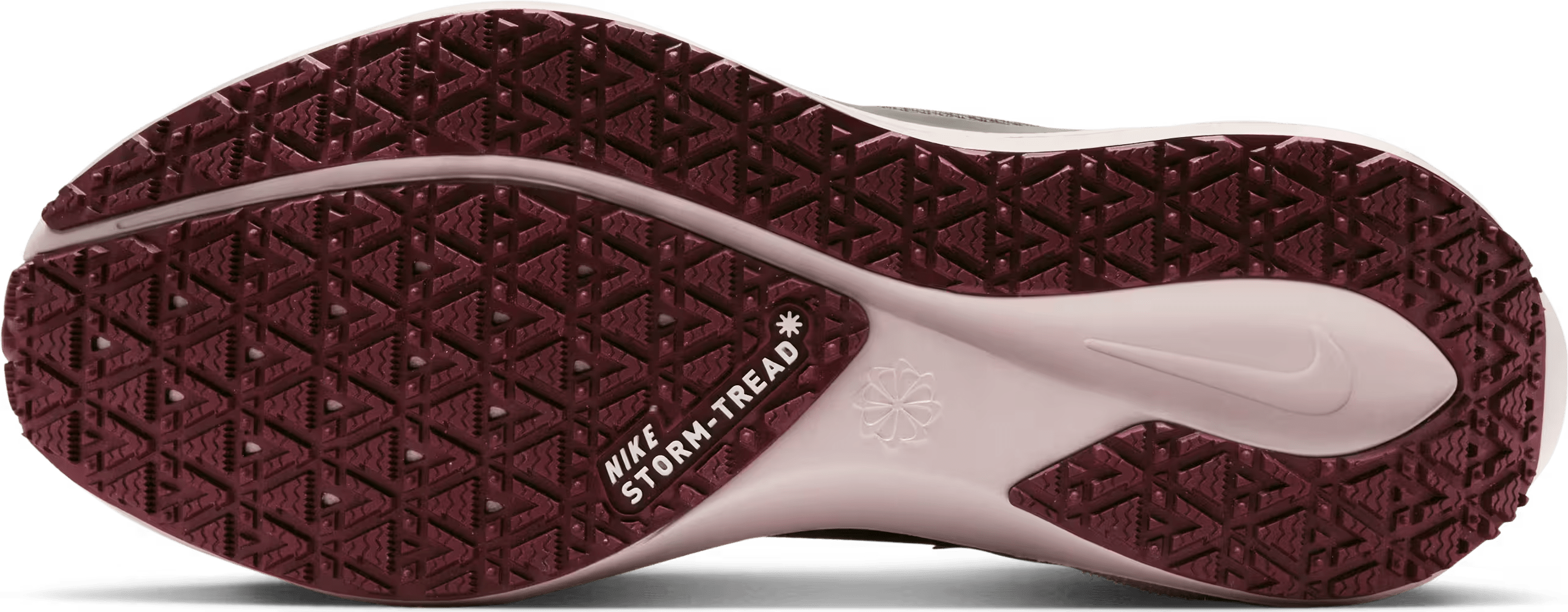 Nike Pegasus 41 GORE-TEX Wmns "Red Sepia"