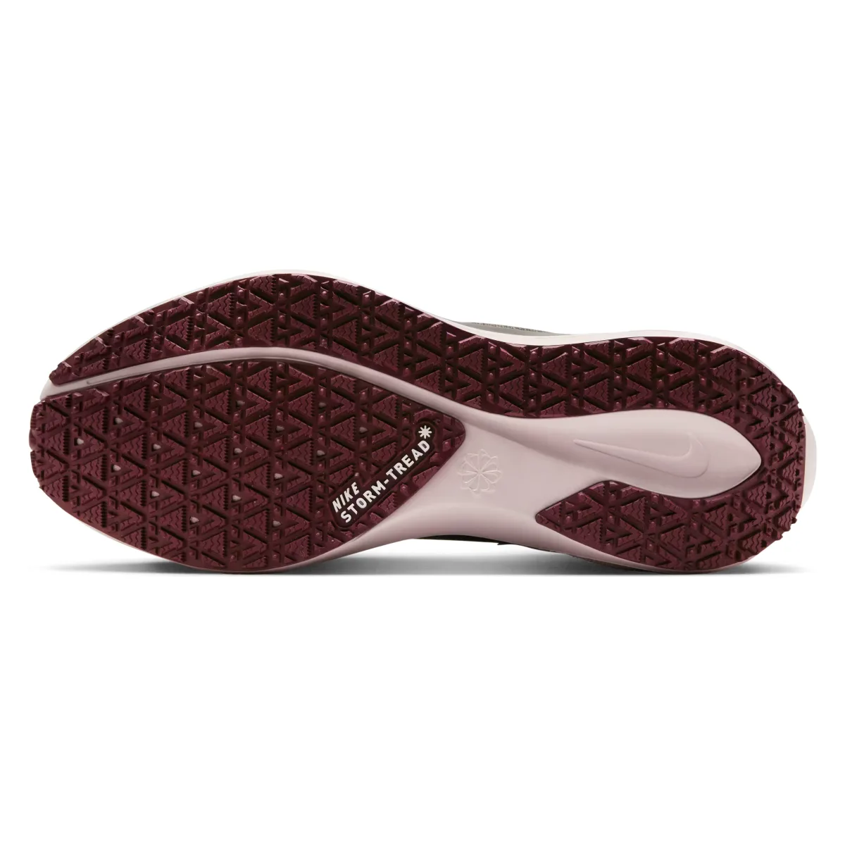 Nike Pegasus 41 GORE-TEX Wmns "Red Sepia"