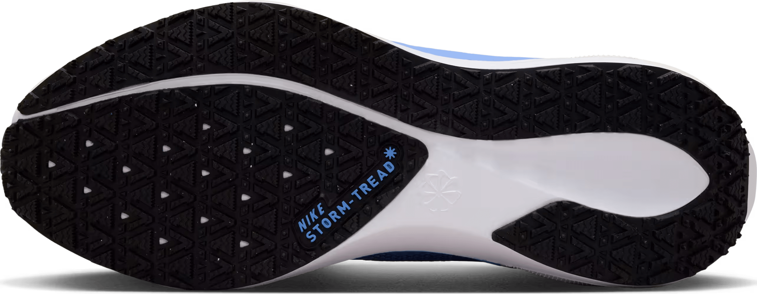 Nike Air Zoom Pegasus 41 Gore-Tex Cobalt (Women's)