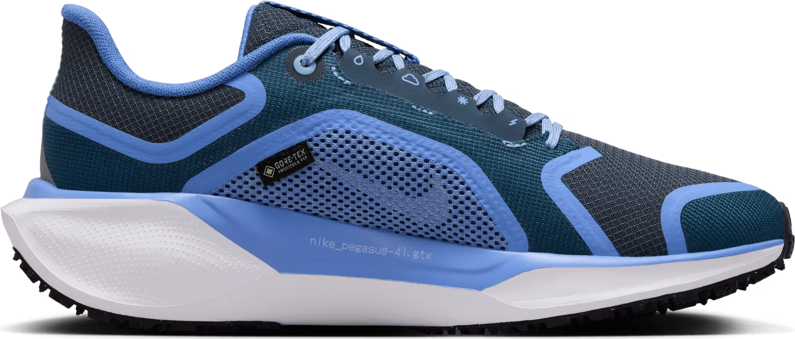 Nike Air Zoom Pegasus 41 Gore-Tex Cobalt (Women's)