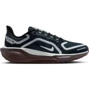 Nike Pegasus 41 GORE-TEX Wmns "Dark Obsidian"