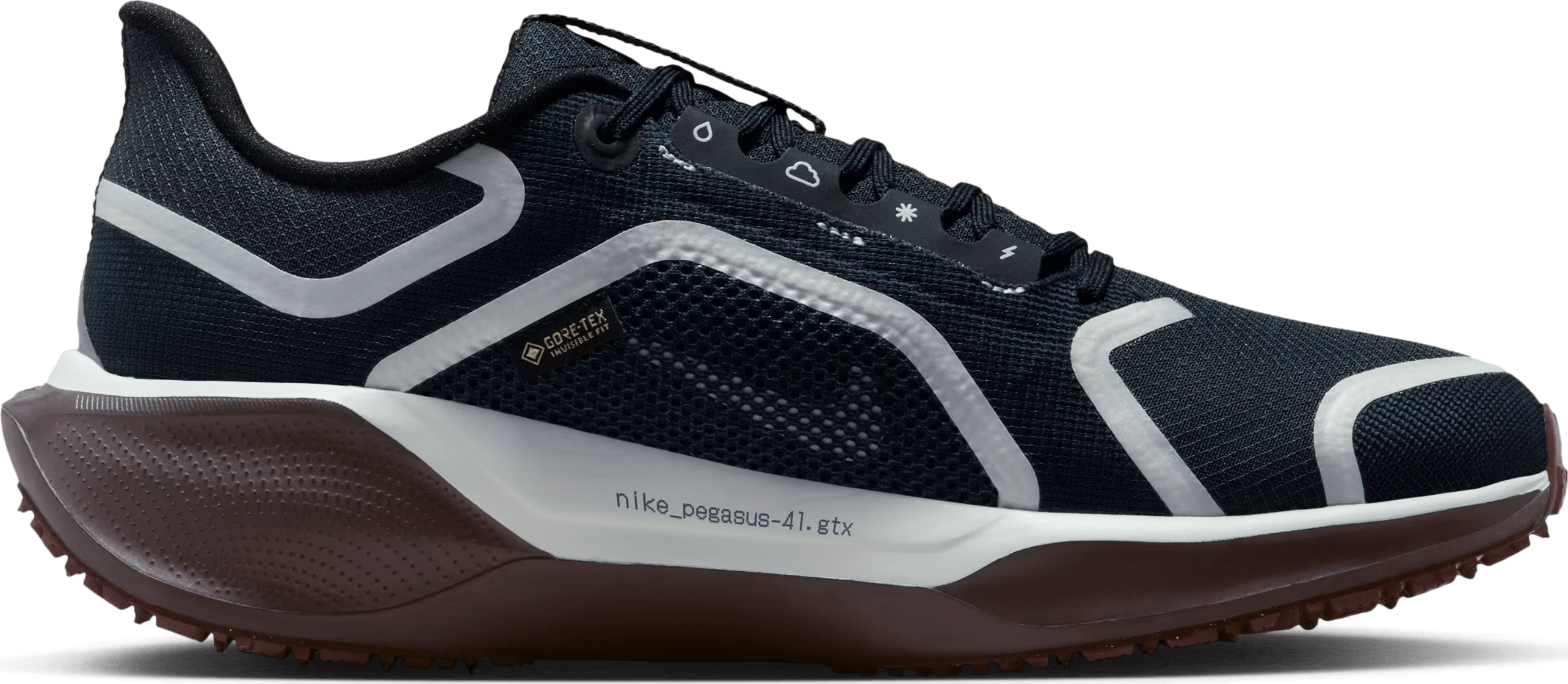 Nike Pegasus 41 GORE-TEX Wmns "Dark Obsidian"