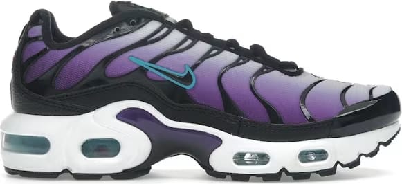 Nike Air Max Plus Reverse Grape (GS)