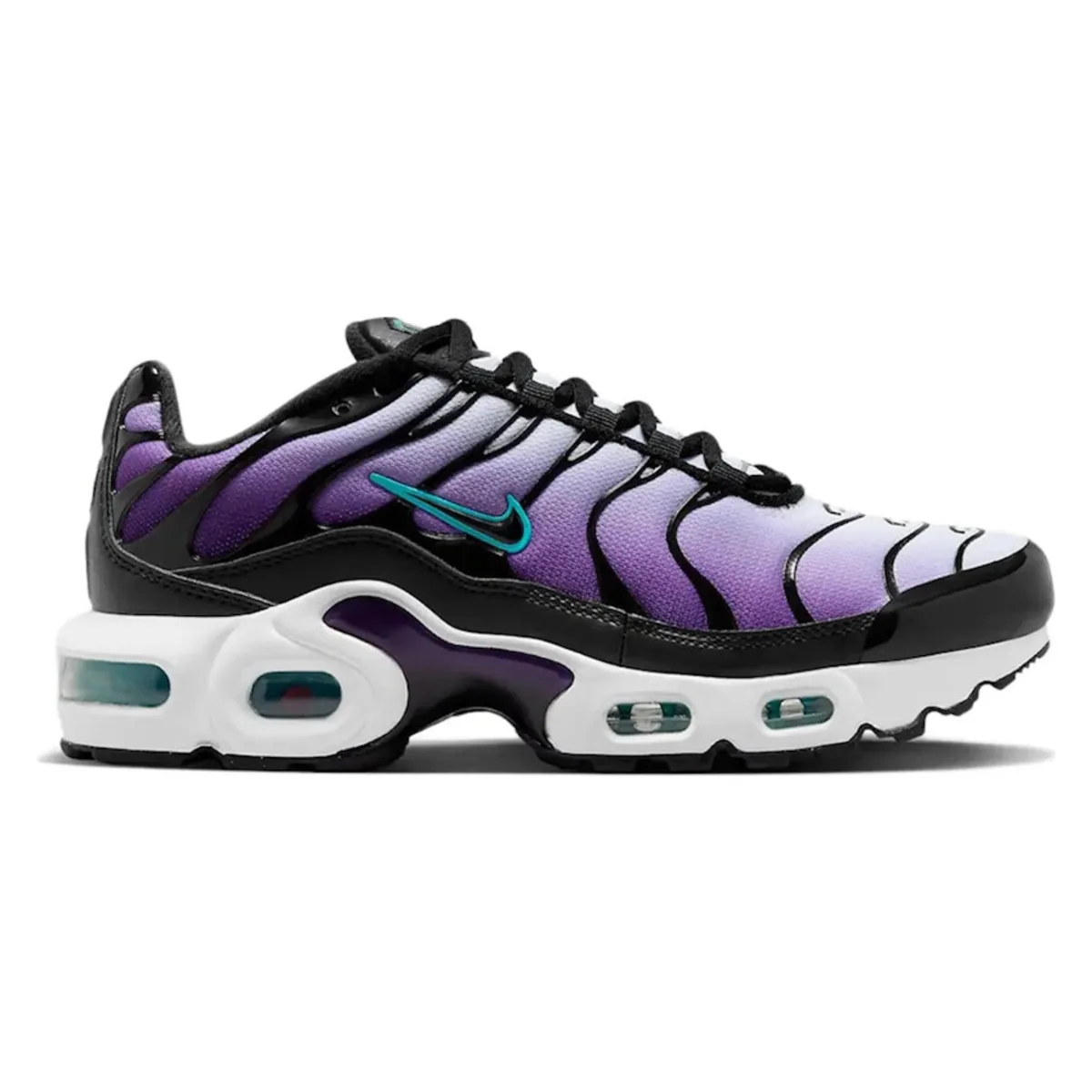 Nike Air Max Plus Reverse Grape (GS)