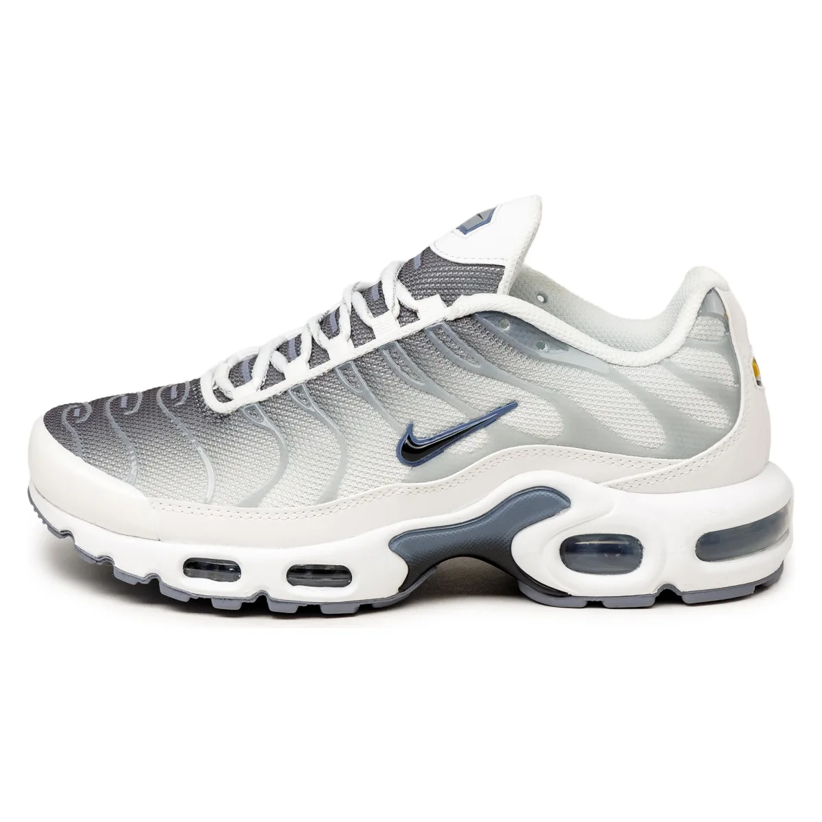 Nike Air Max Plus Wmns "Ashen Slate"