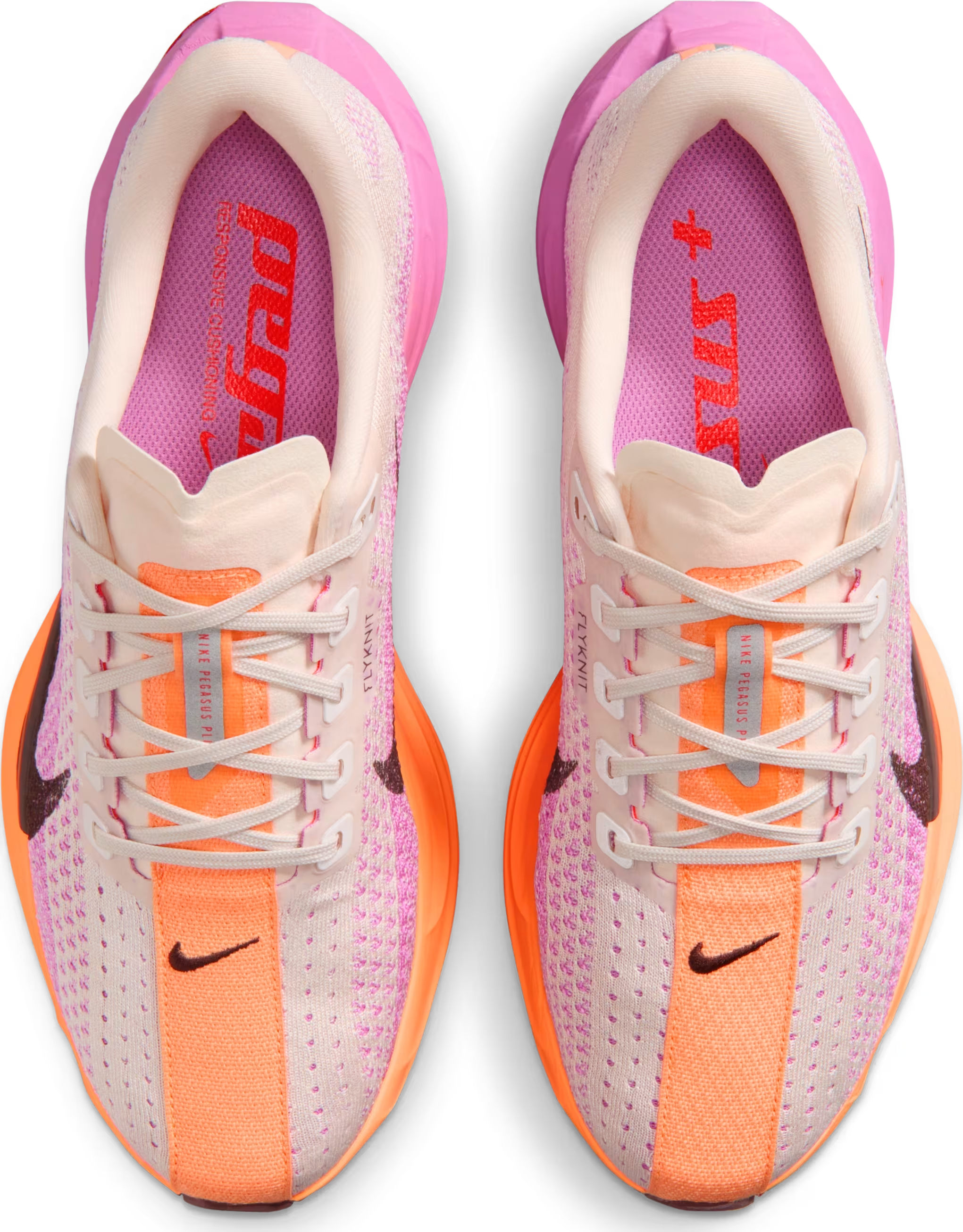 Nike Pegasus Plus