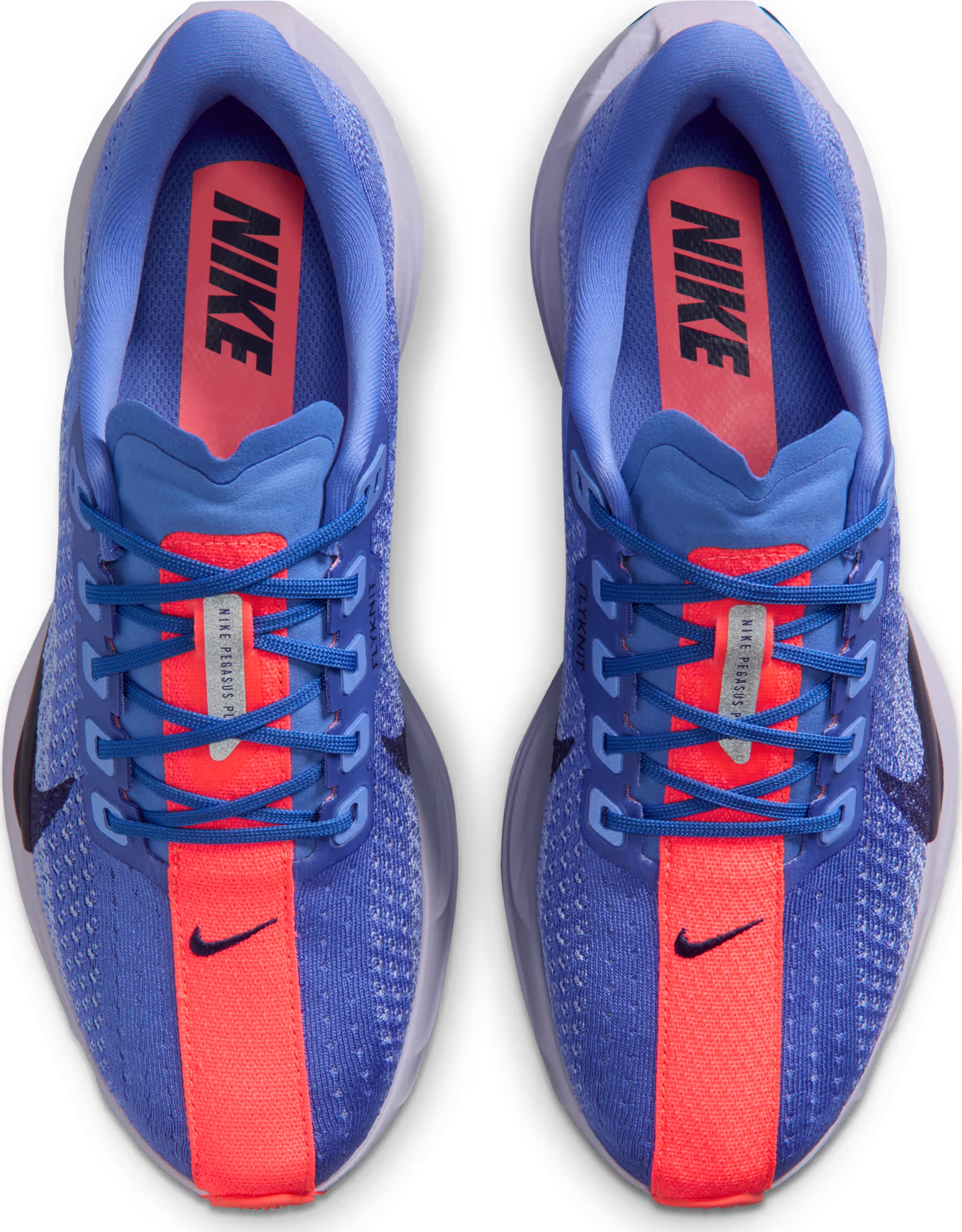 Nike Pegasus Plus