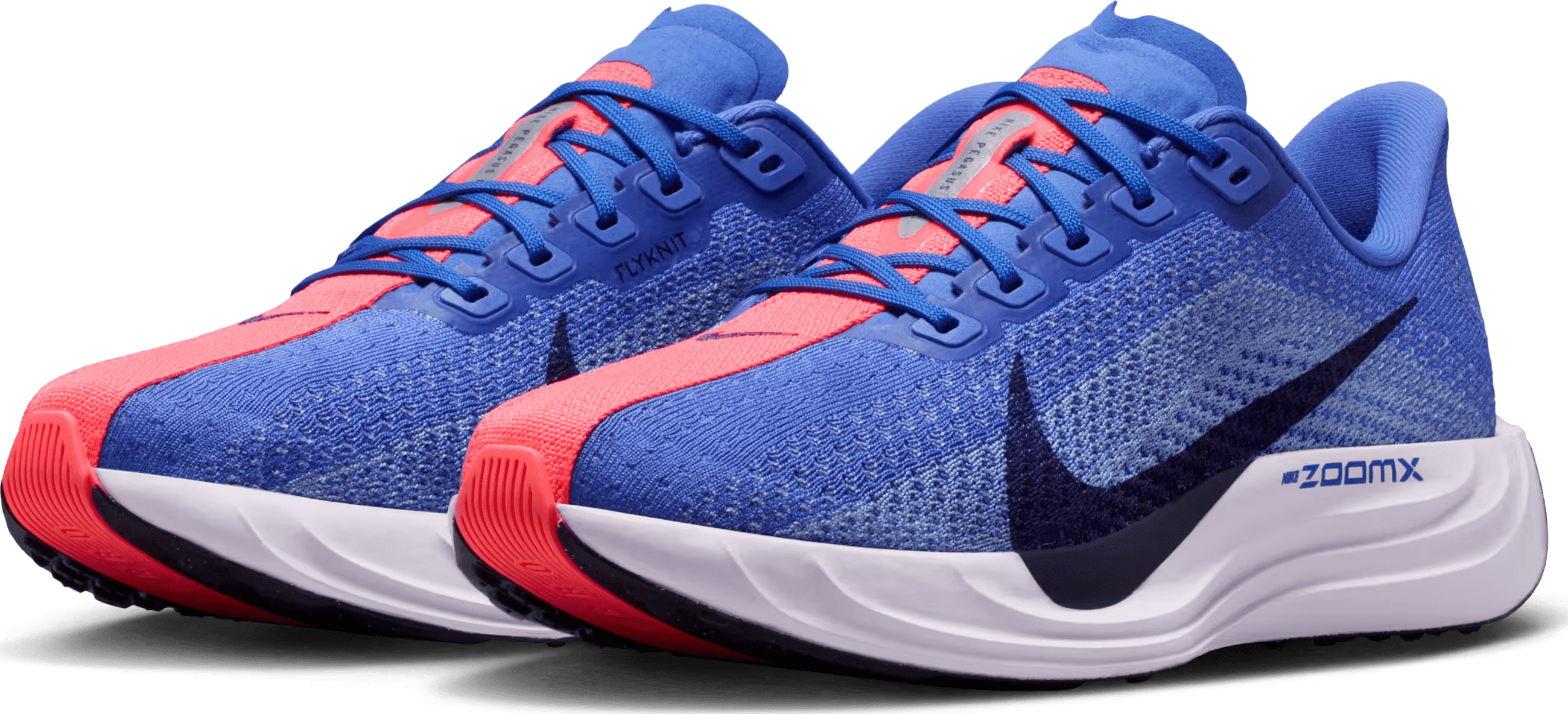Nike Pegasus Plus