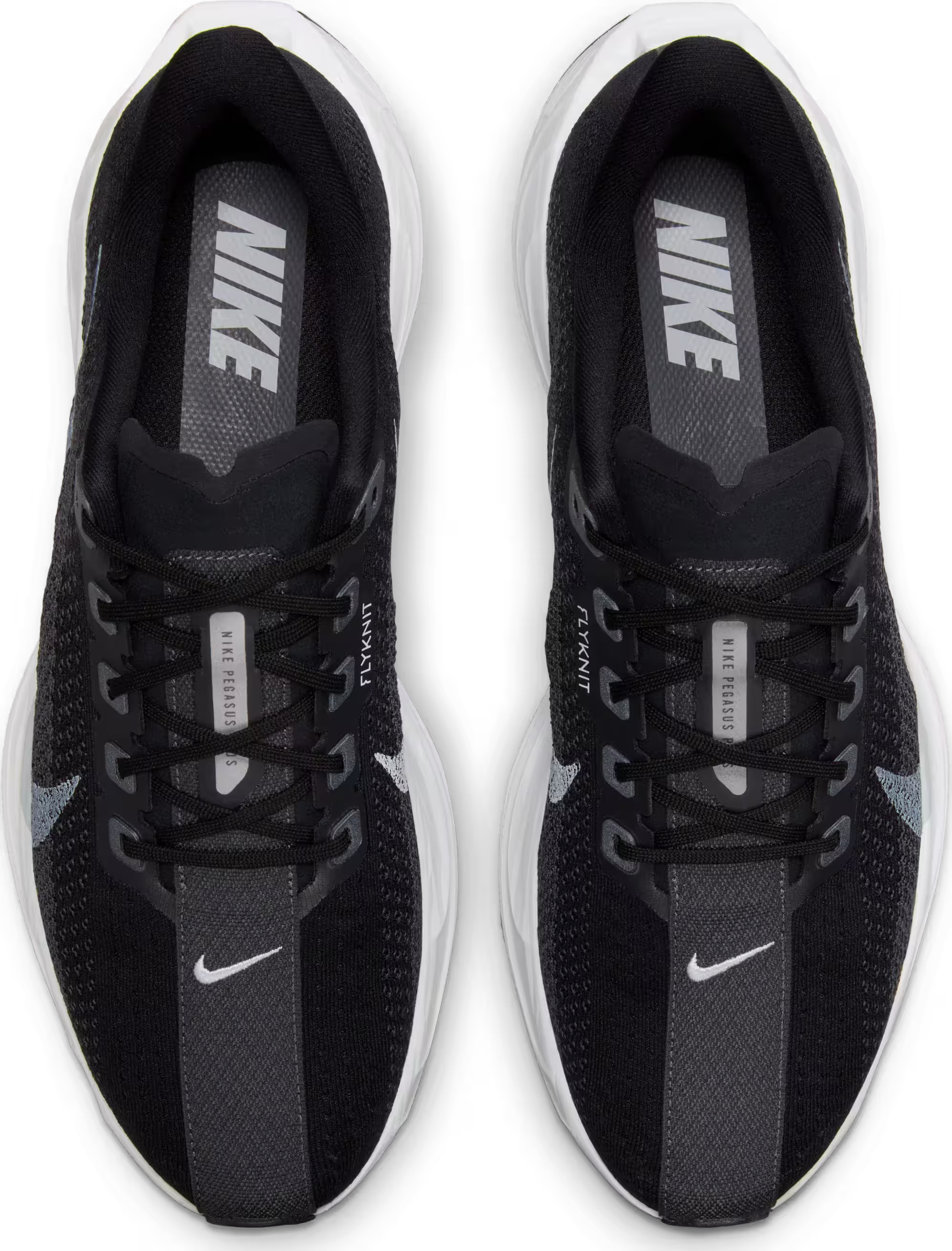 Nike Pegasus Plus "Black White"