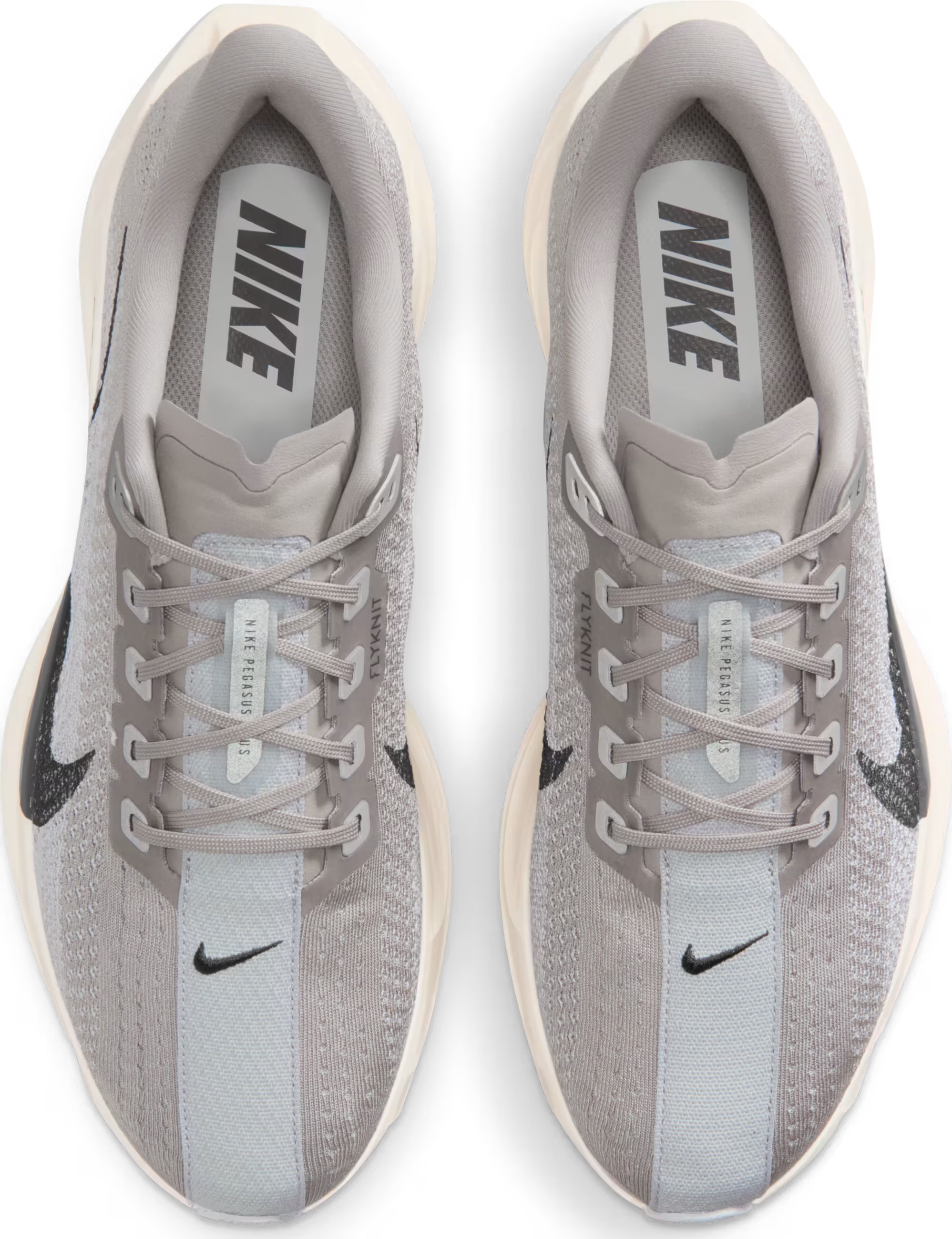 Nike Pegasus Plus