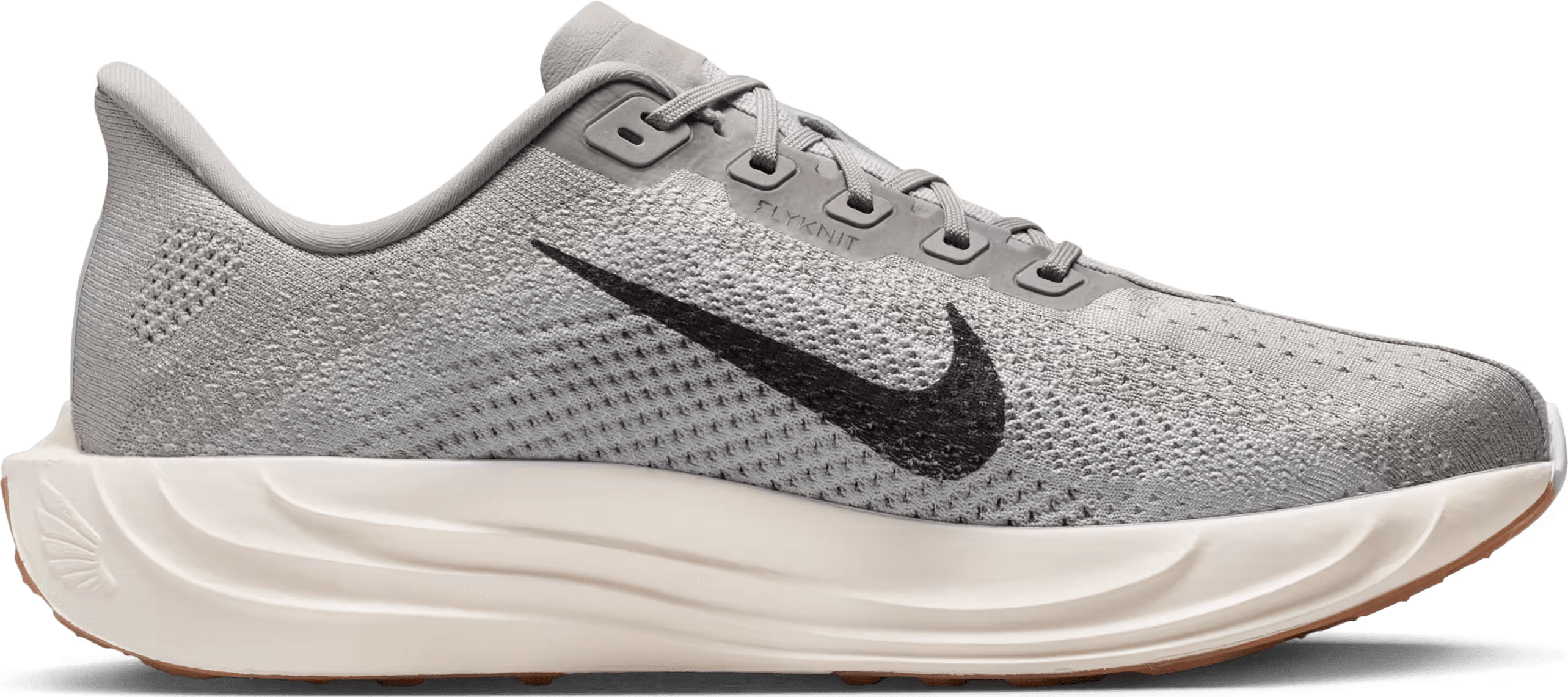Nike Pegasus Plus