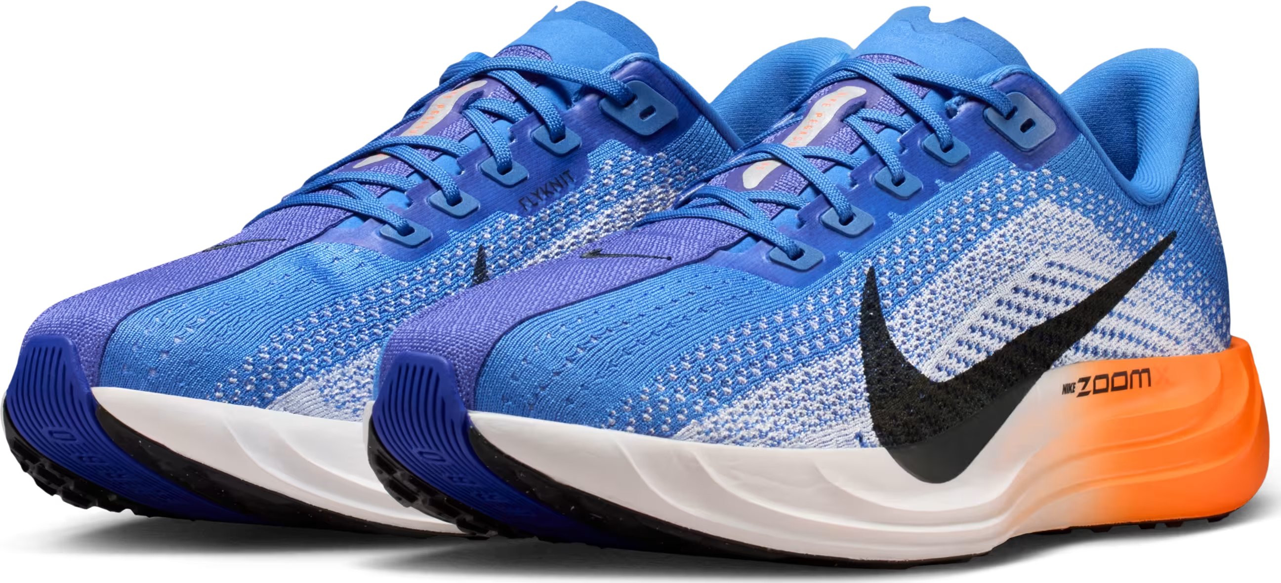 Nike Pegasus Plus