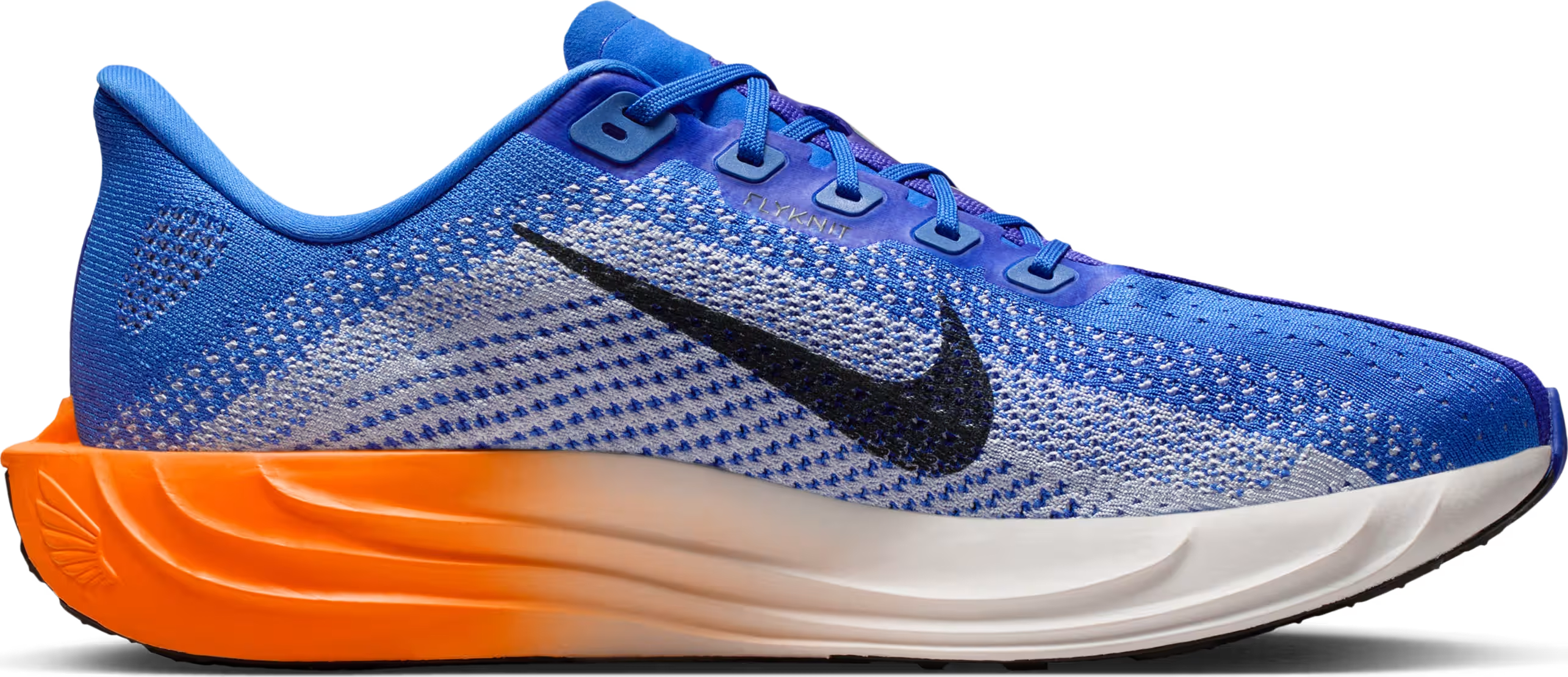 Nike Pegasus Plus