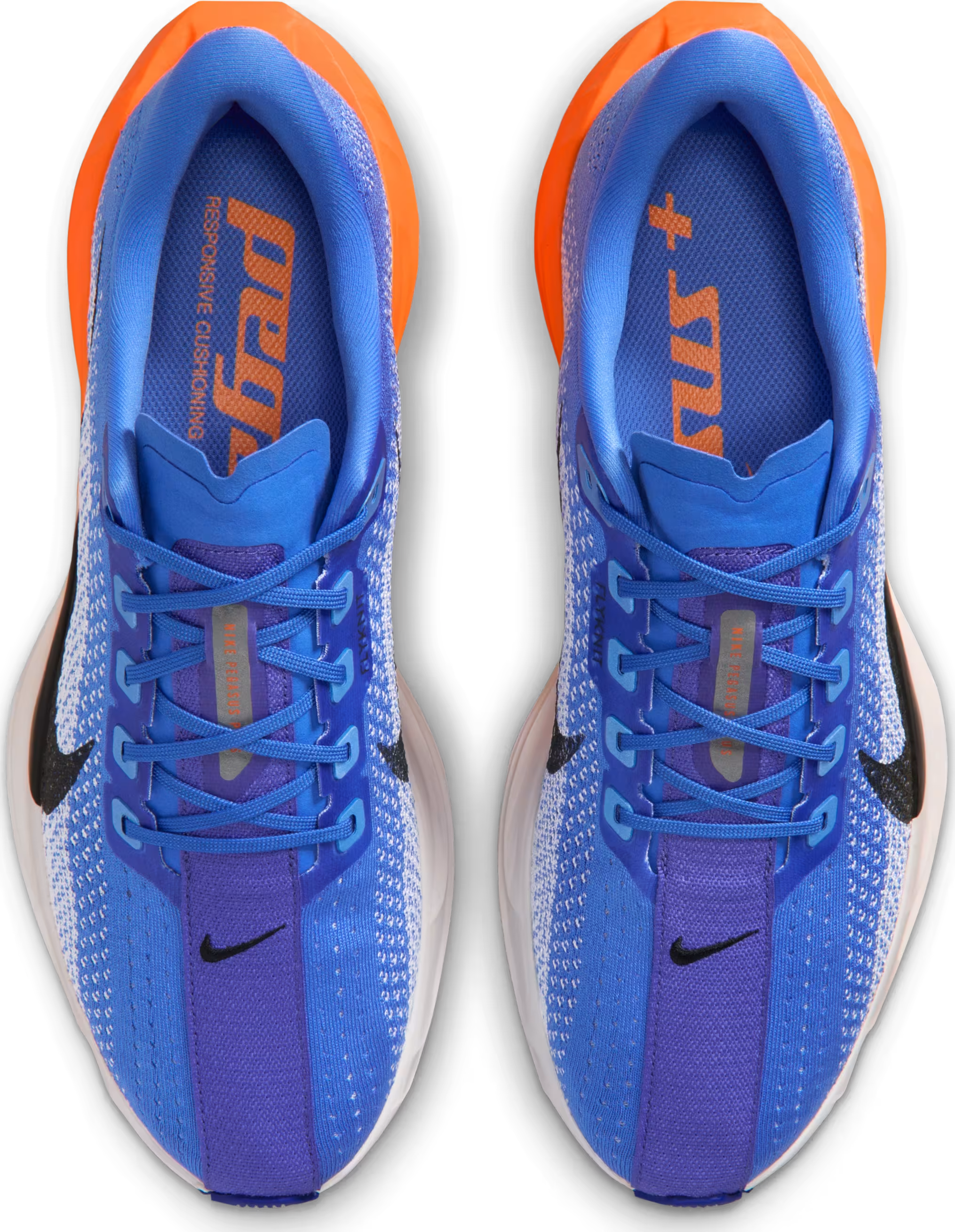 Nike Pegasus Plus