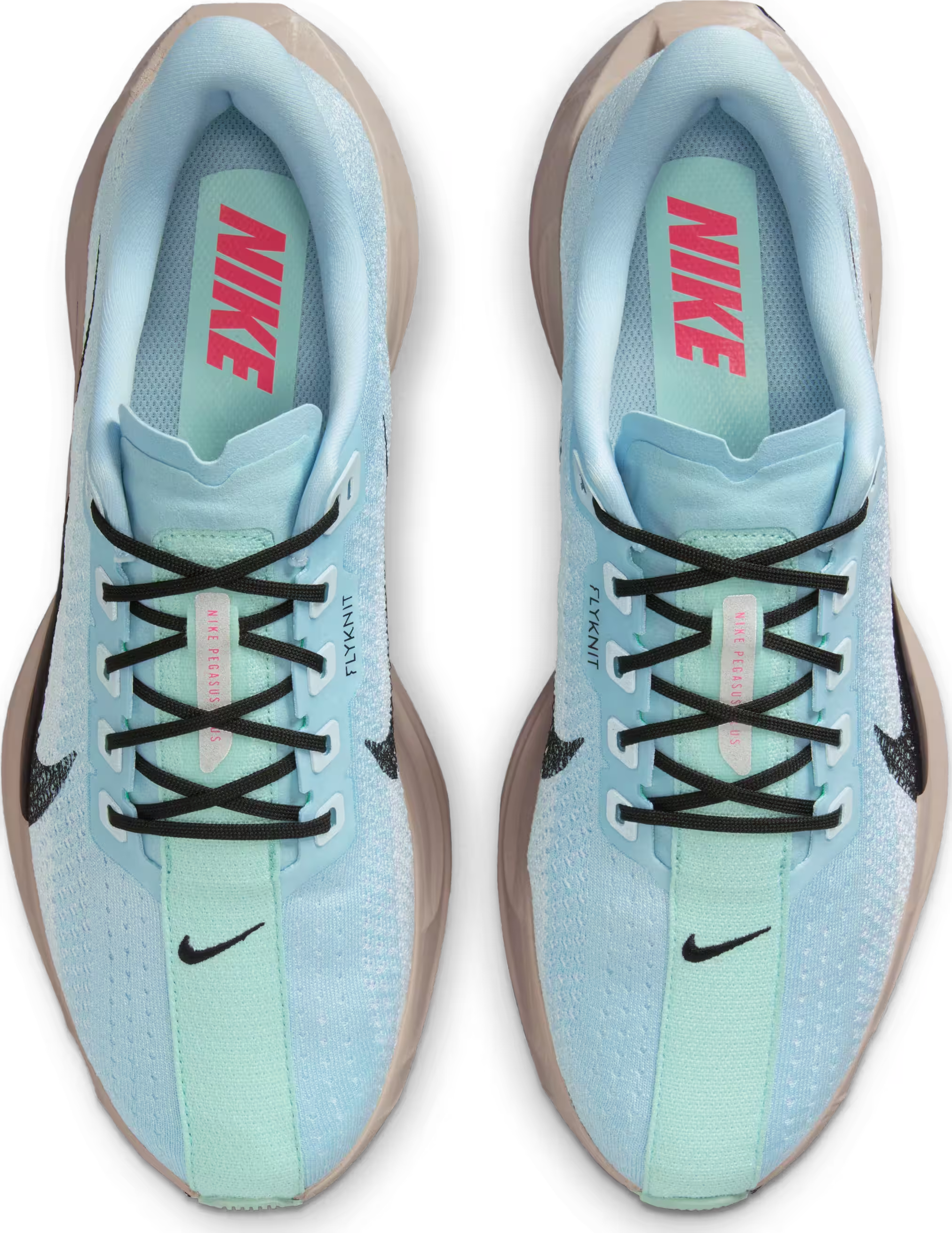 Nike Pegasus Plus "Glacier Blue"