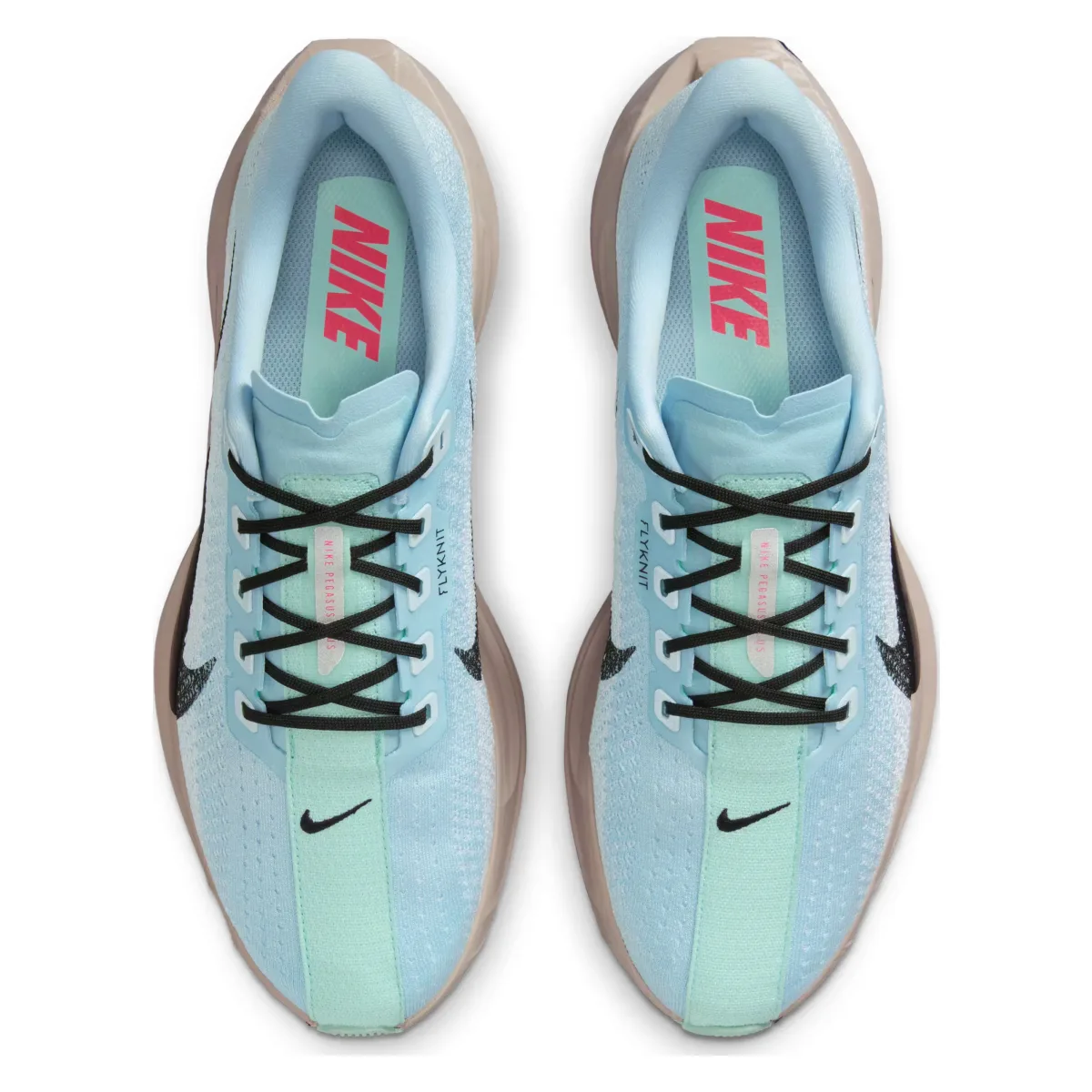 Nike Pegasus Plus "Glacier Blue"
