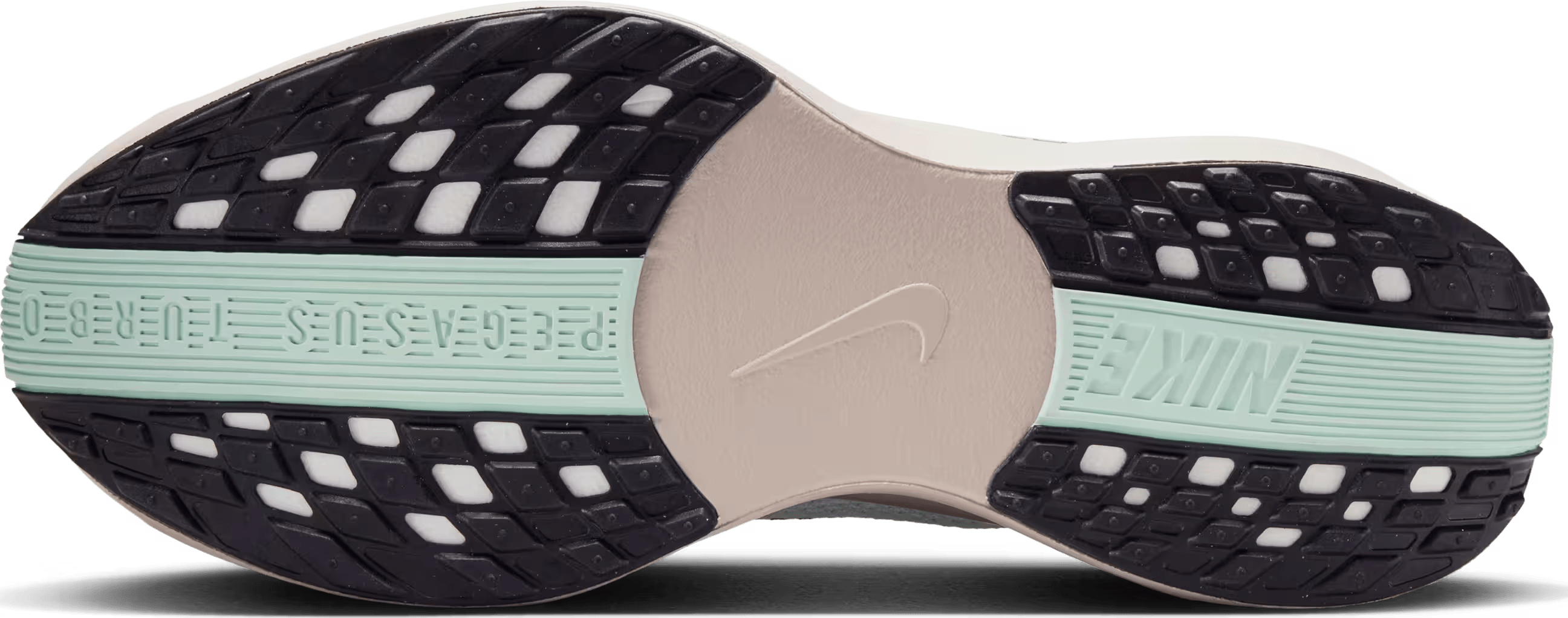 Nike Pegasus Plus "Glacier Blue"