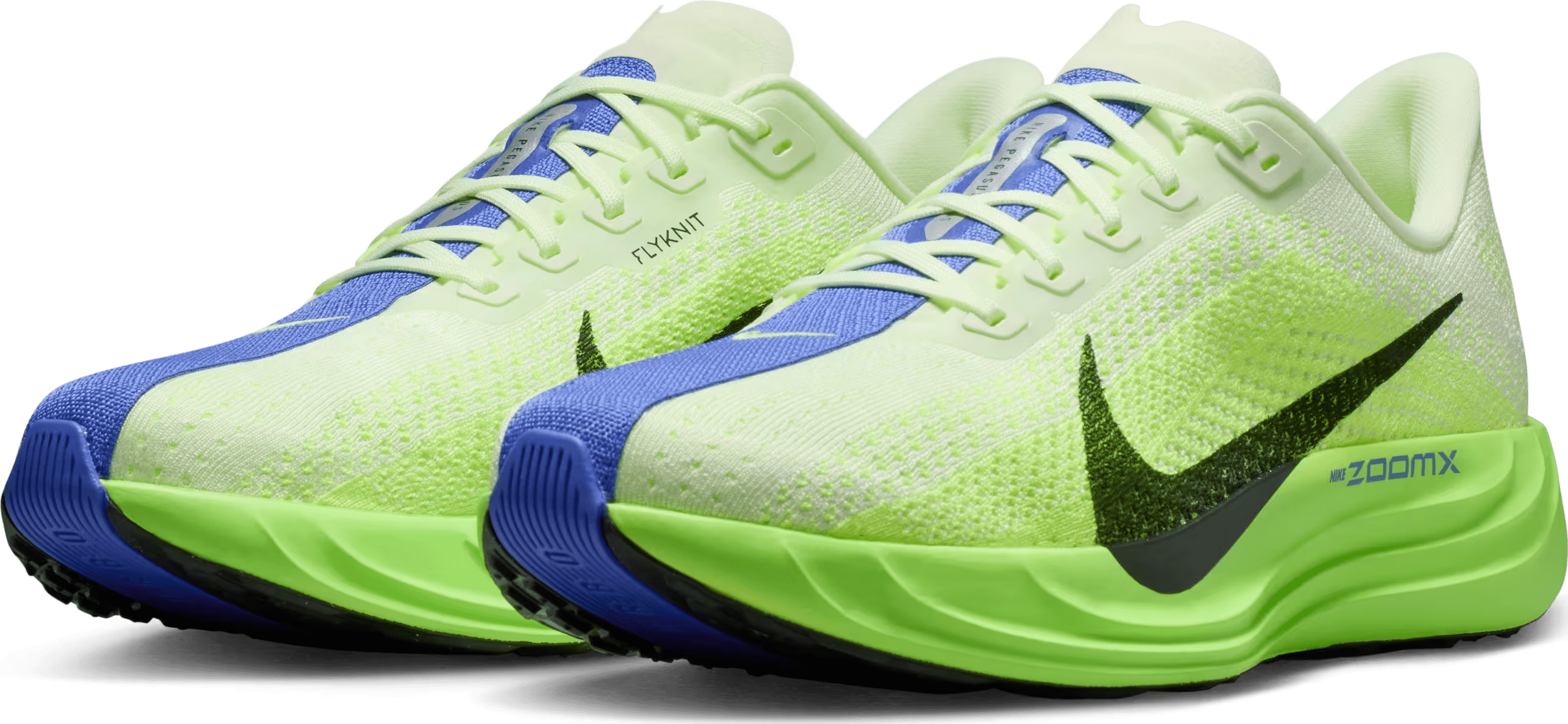Nike Pegasus Plus
