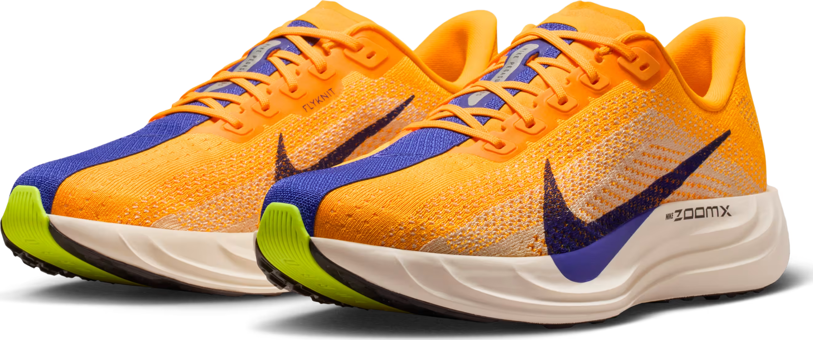 Nike Pegasus Plus