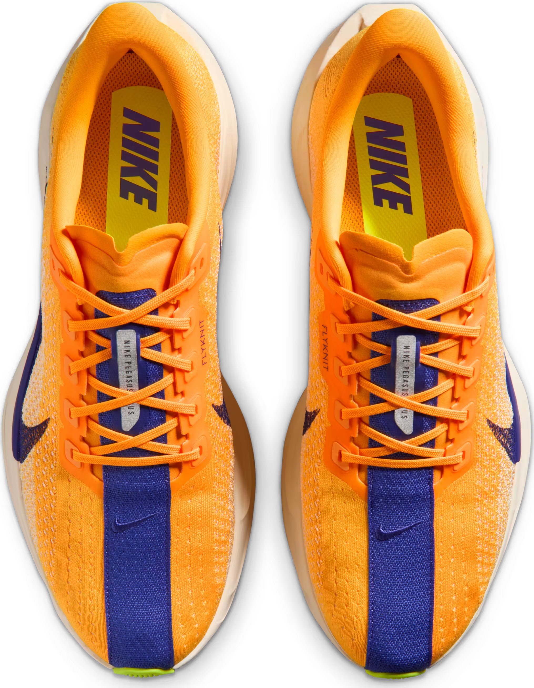 Nike Pegasus Plus