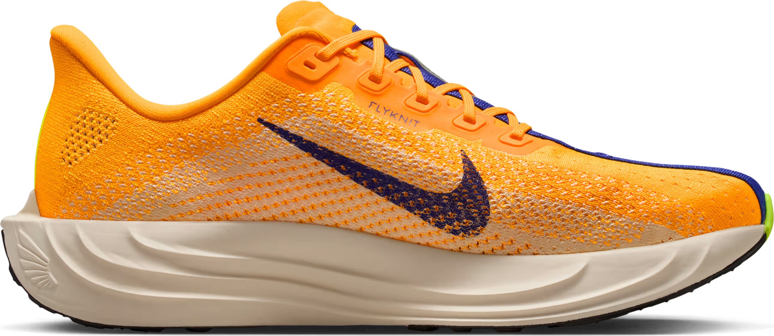 Nike Pegasus Plus