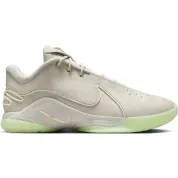 Nike LeBron 22 Dunkman