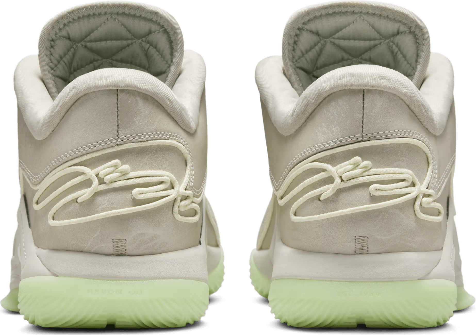 Nike LeBron 22 Dunkman