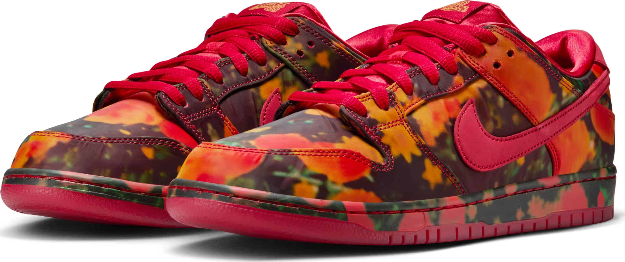 Nike SB Dunk Low Pro "The Wizard of Oz"