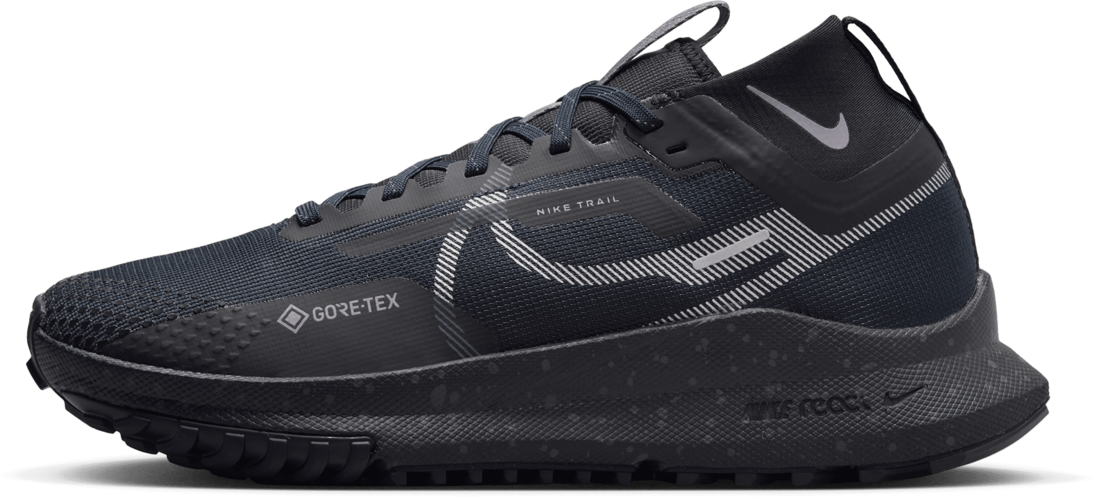 Nike Pegasus Trail 4 Gore-Tex Dark Obsidian Metallic Silver (Women's)