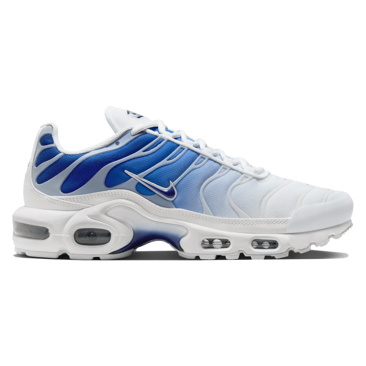 Nike Air Max Plus Wmns "Blue Fade"