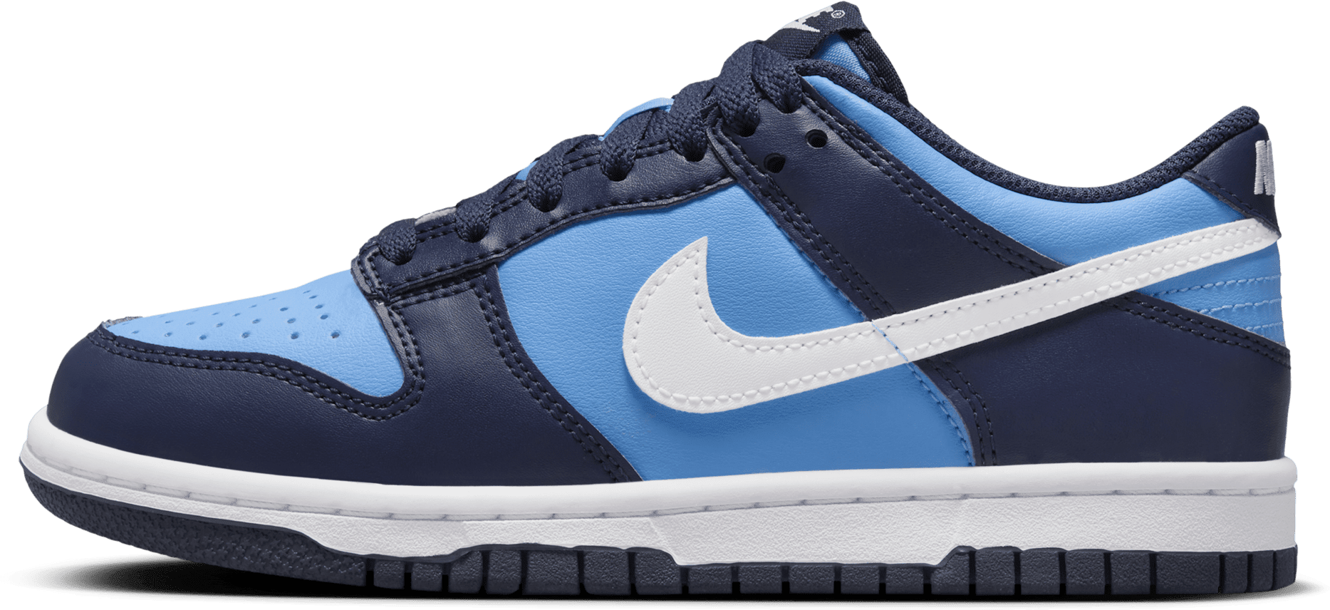 Nike dunk hot sale baby blue