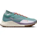 Nike Pegasus Trail 4 GORE-TEX